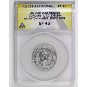 Ancient Roman Coin