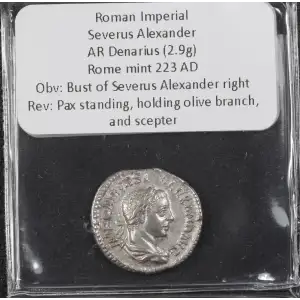 Ancient Roman Coin (3)