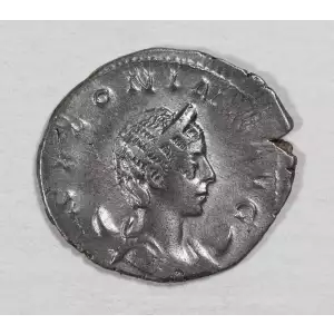 Ancient Roman Coin (2)