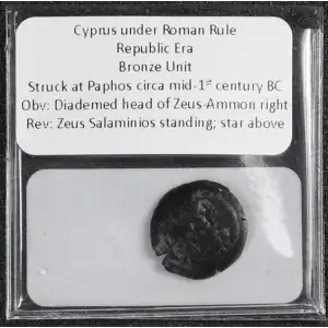 Ancient Greek Coin (2)