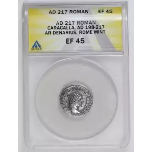 Ancient Roman Coin