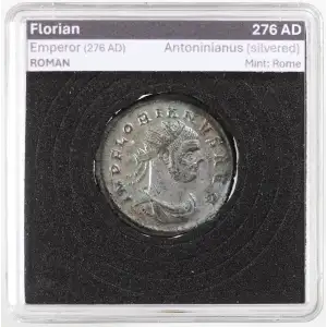 Ancient Roman Coin (6)