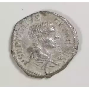 Ancient Roman Coin (2)