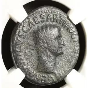 Ancient Roman Coin (6)