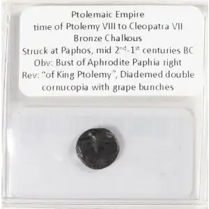 Ancient Greek Coin (4)