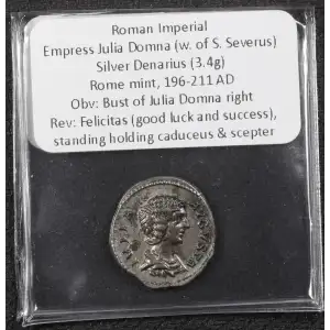 Ancient Roman Coin (4)