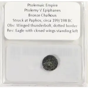 Ancient Greek Coin (4)
