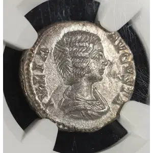 Ancient Roman Coin (5)