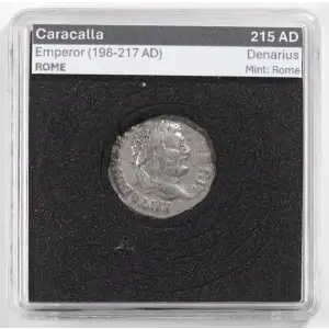 Ancient Roman Coin (4)