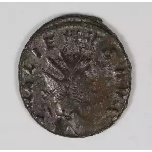 Ancient Roman Coin