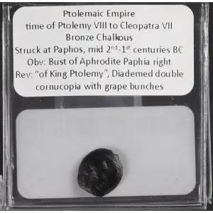 Ancient Greek Coin (2)