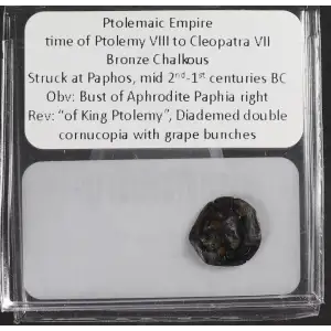 Ancient Greek Coin (2)