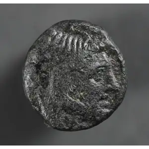 Ancient Greek Coin (4)