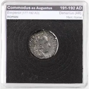 Ancient Roman Coin (2)
