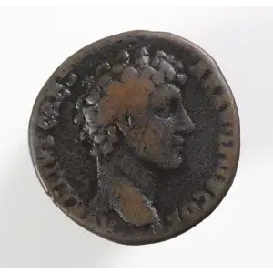 Ancient Roman Coin (2)