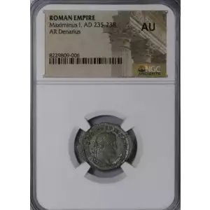 Ancient Roman Coin (4)