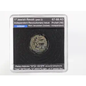 Ancient Greek Coin (2)