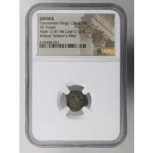 Ancient Greek Coin (2)