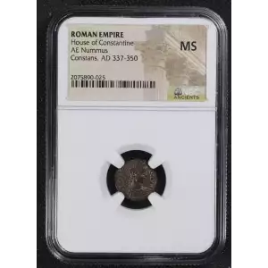 Ancient Roman Coin (2)