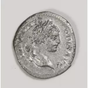 Ancient Roman Coin