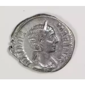 Ancient Roman Coin
