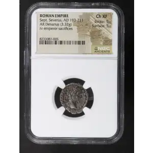 Ancient Roman Coin