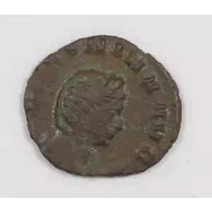Ancient Roman Coin