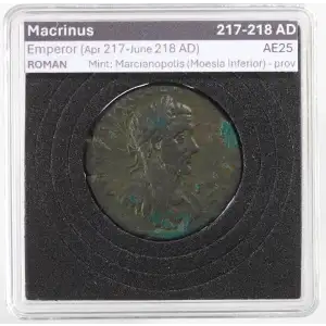 Ancient Roman Coin (3)