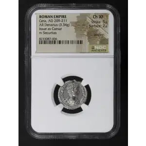 Ancient Roman Coin (2)