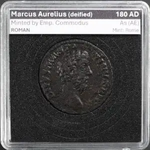 Ancient Roman Coin (2)