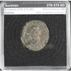 Ancient Roman Coin (2)