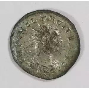 Ancient Roman Coin (3)