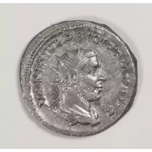 Ancient Roman Coin (2)