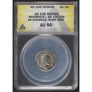 Ancient Roman Coin (2)