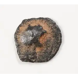 Ancient Greek Coin