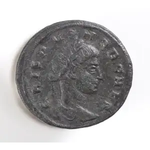 Ancient Roman Coin