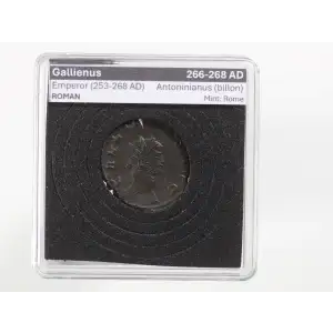 Ancient Roman Coin (2)