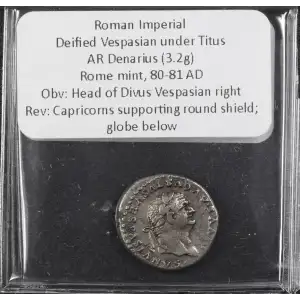 Ancient Roman Coin (3)