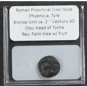 Ancient Greek Coin (4)
