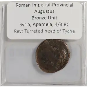Ancient Roman Coin (3)