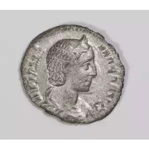 Ancient Roman Coin (2)