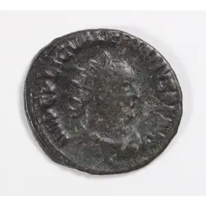 Ancient Roman Coin (2)