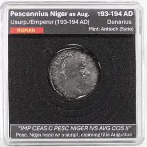 Ancient Roman Coin (2)