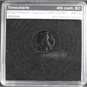 Ancient Greek Coin (2)